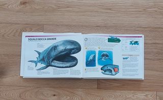 Libro per bambini
