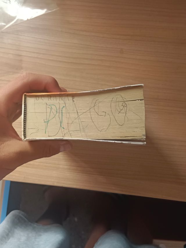 Diccionario Castellano