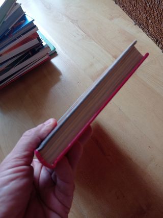 Tea Stilton. Aventura en Nueva York