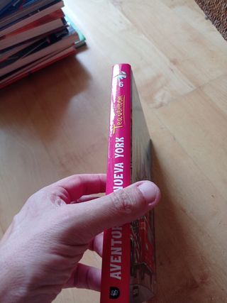 Tea Stilton. Aventura en Nueva York