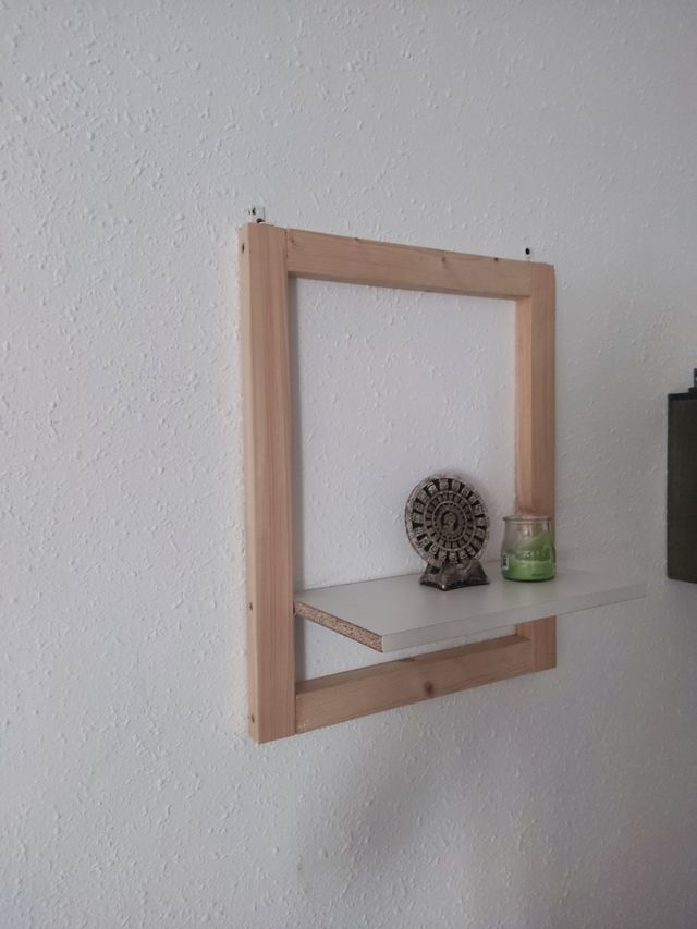 Cuadro estanteria plantas figuras.