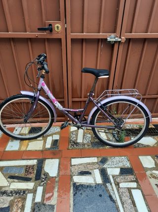 Bicicleta chica