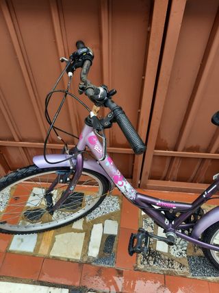 Bicicleta chica