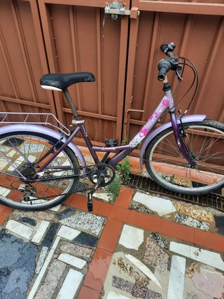 Bicicleta chica