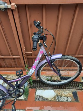 Bicicleta chica