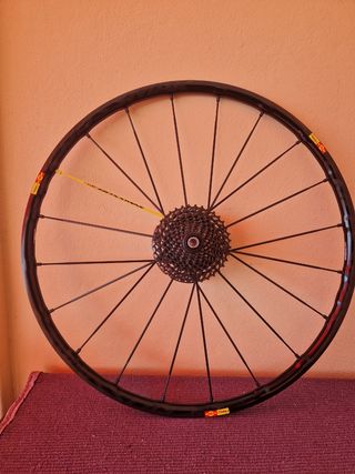 Llantas mavic crossmax pro 29