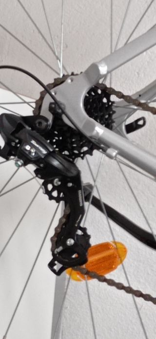 Bicicleta Carreras Moritz