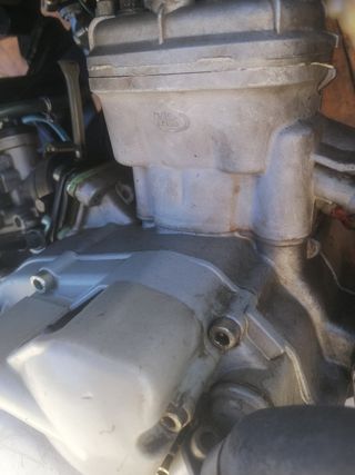 Rieju rs2 pro circuito