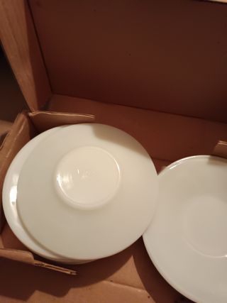 Plantos de porcelana