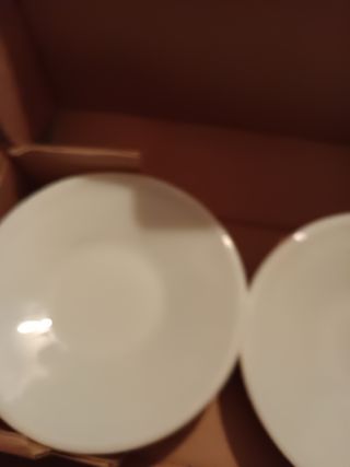 Plantos de porcelana