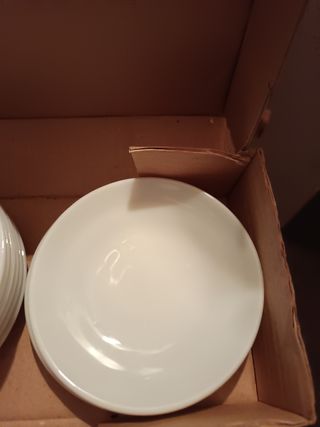 Plantos de porcelana