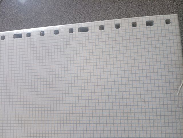 1 paquete de 100 hojas cuadricula