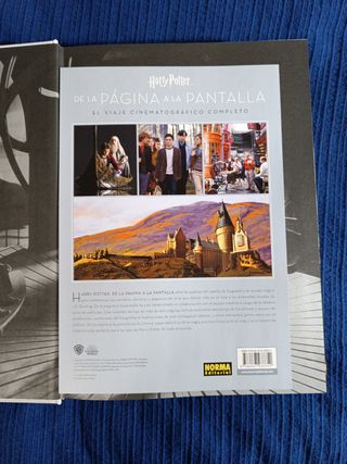 Harry Potter de la página a la pantalla