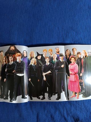 Harry Potter de la página a la pantalla