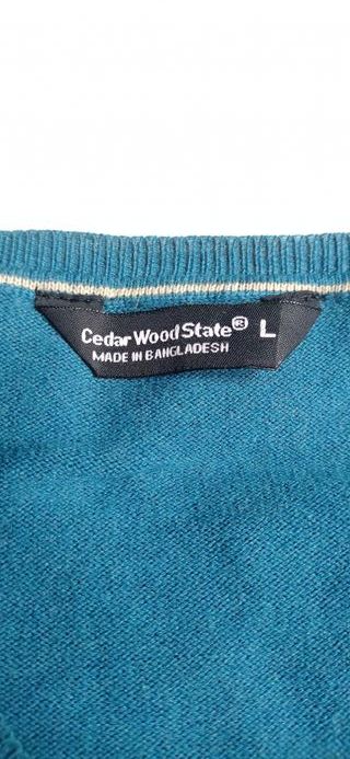 Jersey cuello pico Cedar Wood State