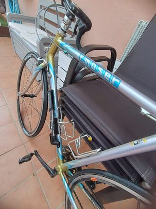 Bicicleta Francesco Mosser