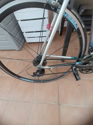 Bicicleta Francesco Mosser