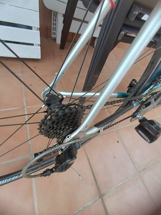 Bicicleta Francesco Mosser