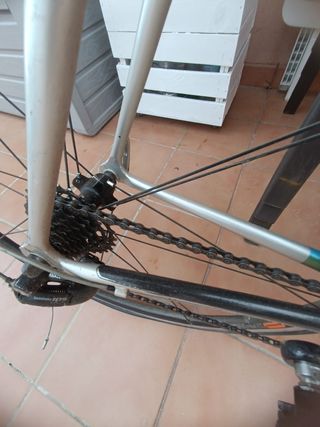 Bicicleta Francesco Mosser