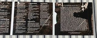 ULRICH ELLISON & Tribe - dreamchaser CD rock blues