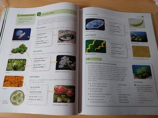 Libro Biología 1° ESO, ISBN: 9788468034263