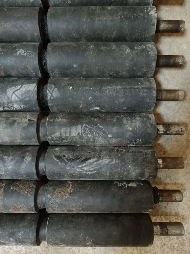 Rodillos cintas vendimiadora