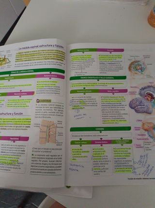 Biología y geología 3 ESO