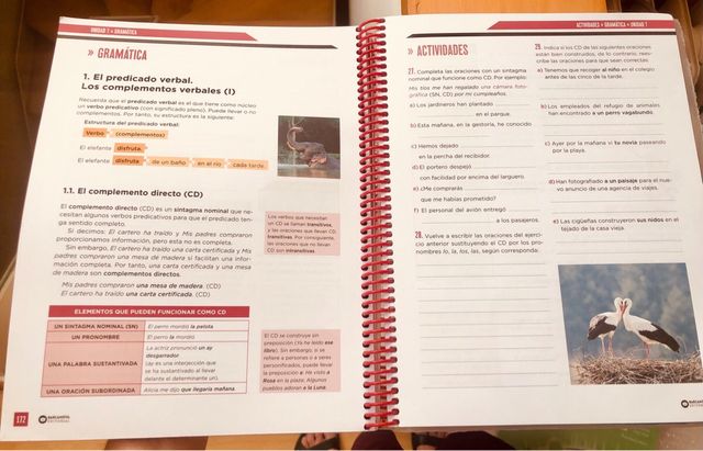 Lingua Spagnola 2° ESO