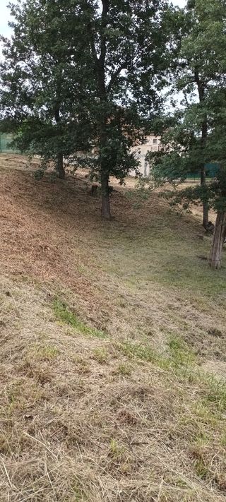 Parcela en venta
