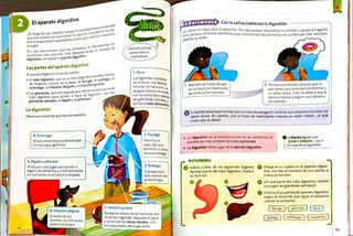 NUEVO CIENCIAS DE LA NATURALEZA 4 SM