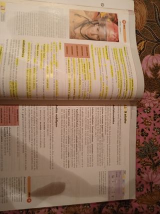 Lengua y Literatura Bachillerato 1