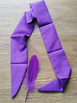 Conjunto de pena e venda roxa para jogos em casal