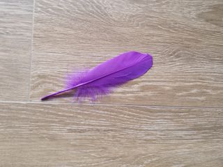 Conjunto de pena e venda roxa para jogos em casal