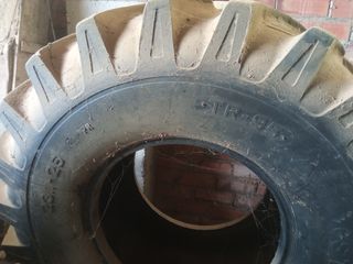 Neumático
