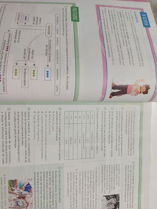 TECNOLOGÍA Y DIGITALIZACIÓN 2 (9788411201179)