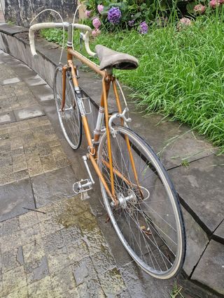 Bicicleta clasica