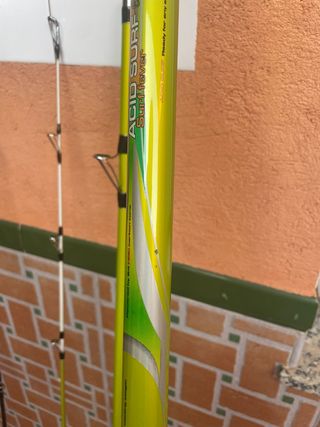 Caña cinnetic acid surf evolution