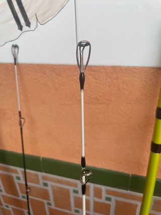 Caña cinnetic acid surf evolution