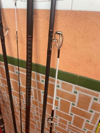 Caña cinnetic acid surf evolution