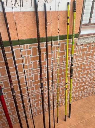 Caña cinnetic acid surf evolution