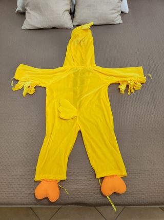 Vestito carnevale bambini 