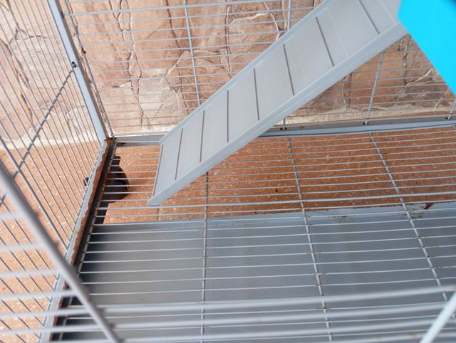 Jaula Hámsters, roedores ,gerbos grande