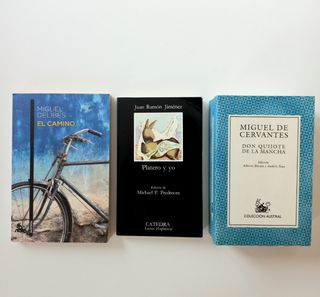 Lote 3 libros clásicos