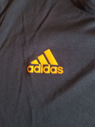 Camiseta Real Madrid training