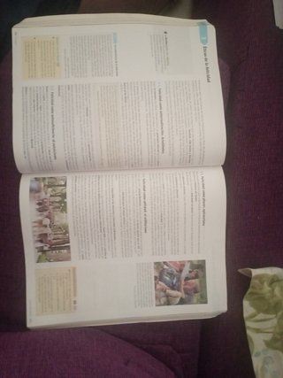 Filosofía 1 de bachillerato