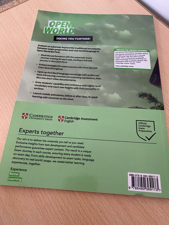 Open world B2 (workbook)