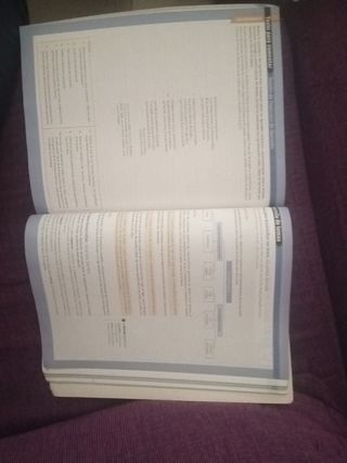 Lengua castellana 1 de bachillerato