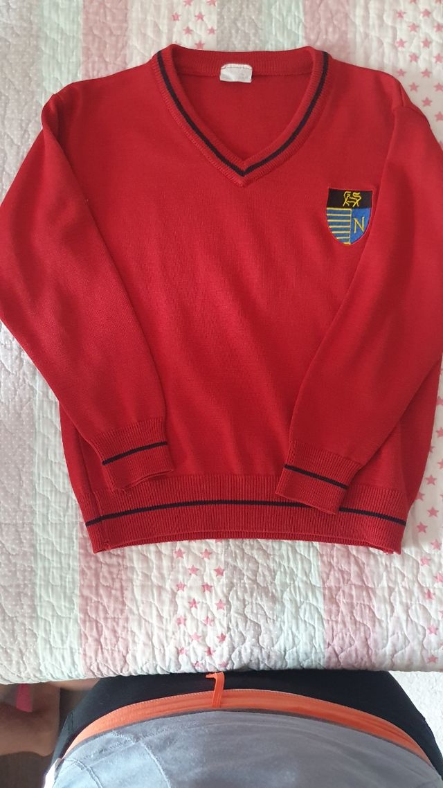 Jersey Colegio Norfolk