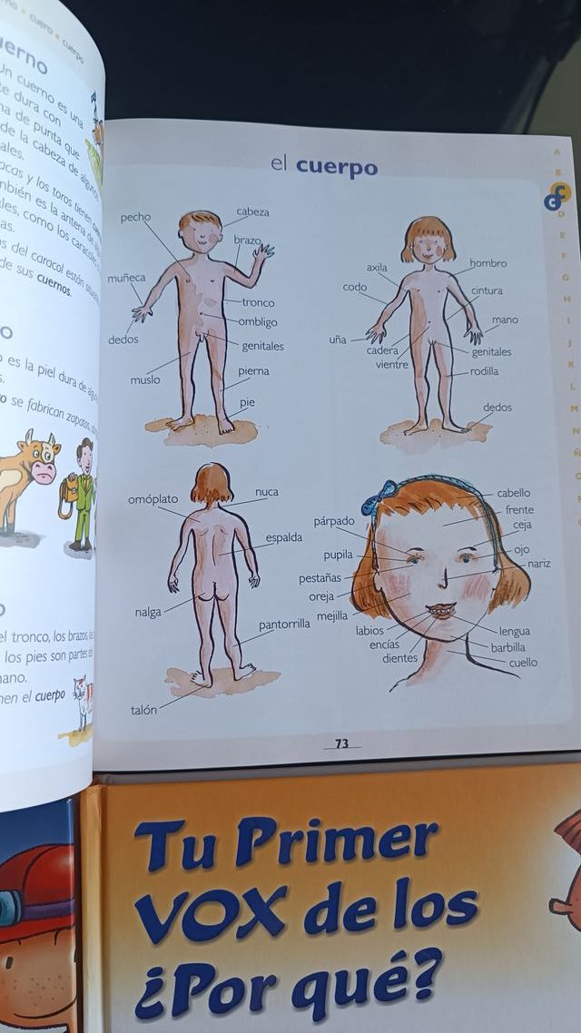 Colección Tu Primera Enciclopedia VOX - Nueva