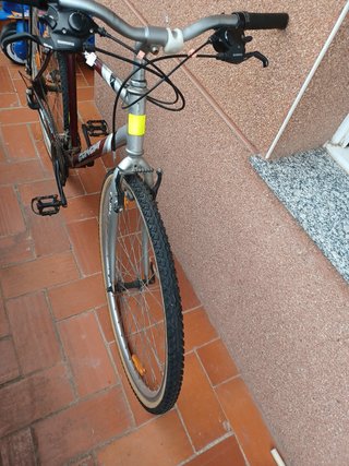 Bicicleta